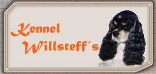 Willsteff